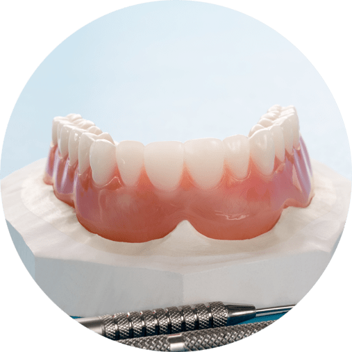 Full Denture Model