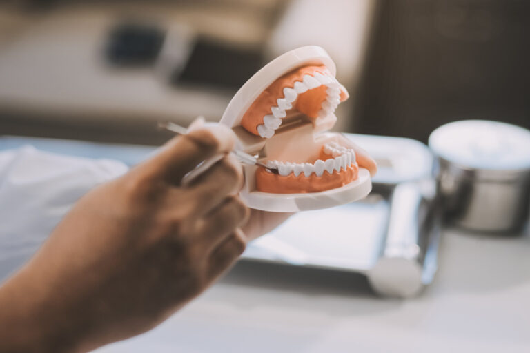 dental model being studied by a dental technician